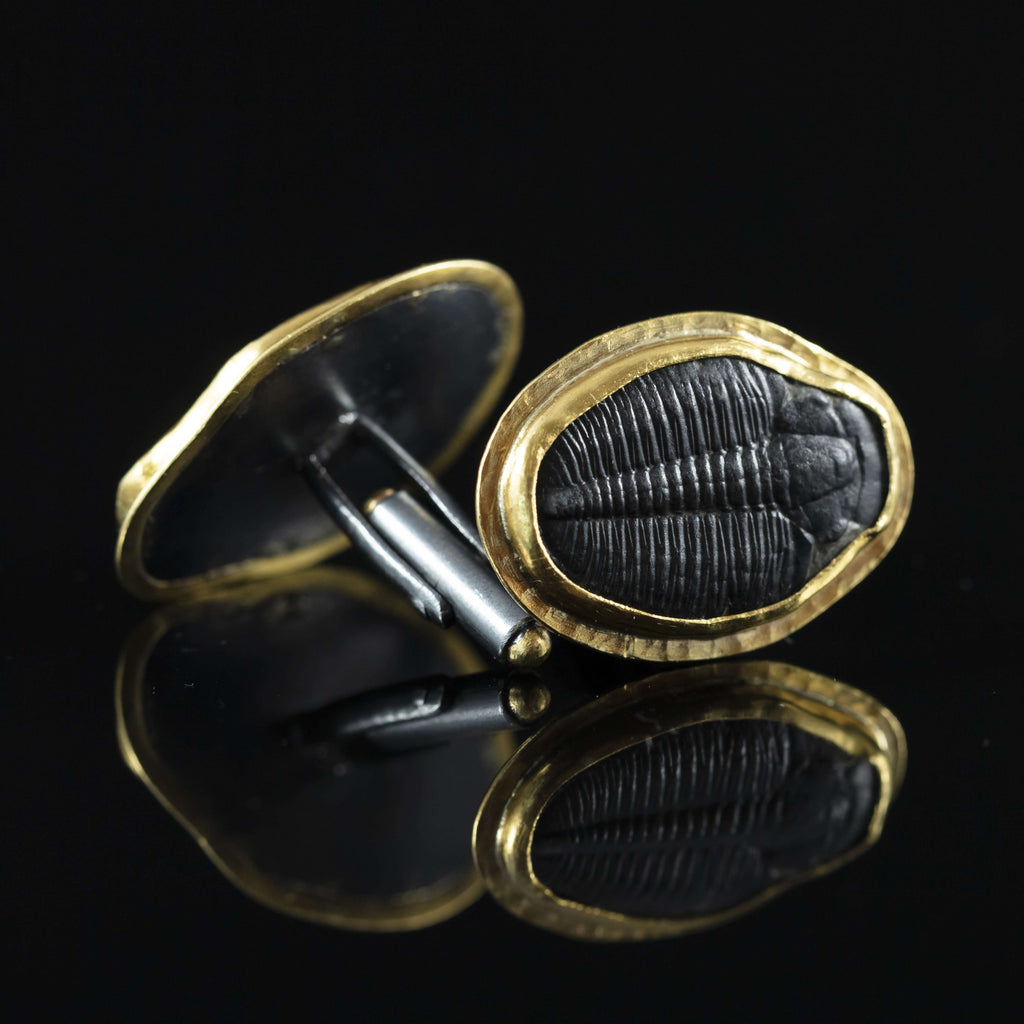 Trilobite & Gold Cufflinks